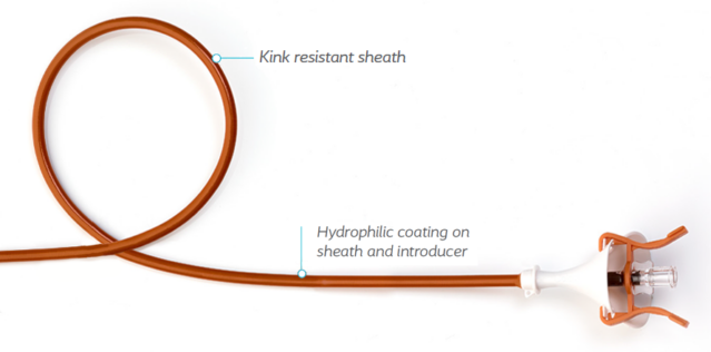 hydrophilic kink resistant